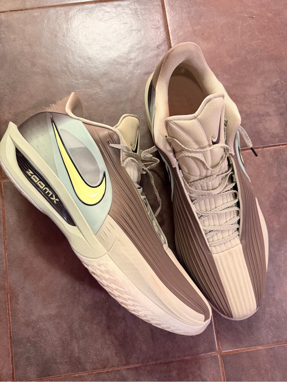 Nike Air Zoom GT Cut 3 Turbo
Size US 18